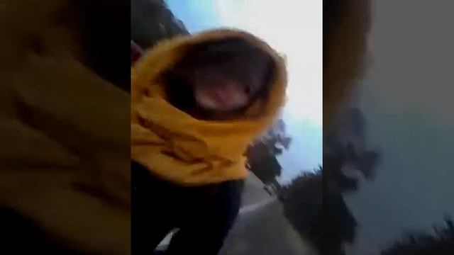 Arctic Balls смотреть онлайн