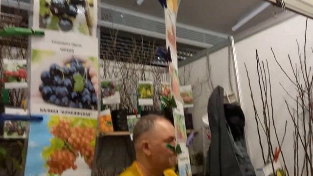 ВЫСТАВКА - ПРОДАЖА 