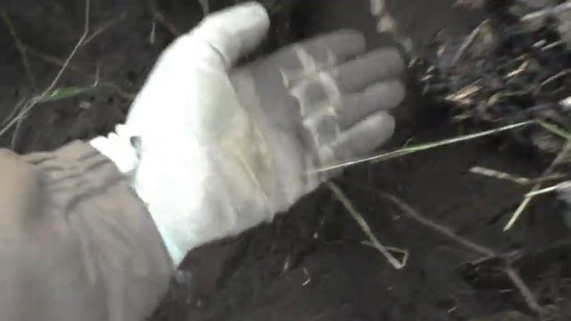Забрал датчики ЦИТД 5А / нашёл собаку в лесу. смотреть онлайн