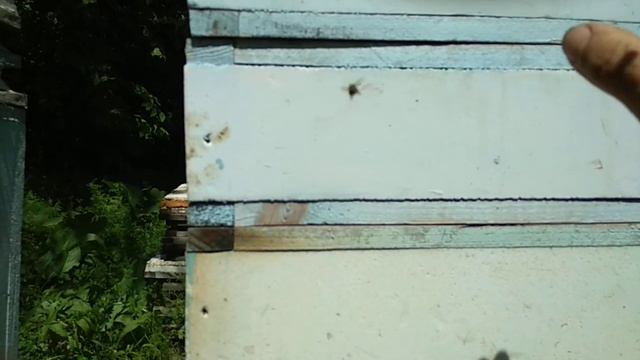 сформированы семьи на акацию плюс отводки на маточники смотреть онлайн