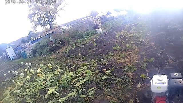 Фрезеровка и уборка травы на поле смотреть онлайн