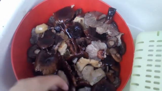 Грибы.Как засолить черный груздь смотреть онлайн