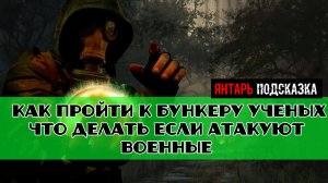 Золотой шар завершение OGSR Янтарь как пройти к бункеру ученых что делать если атакуют военные