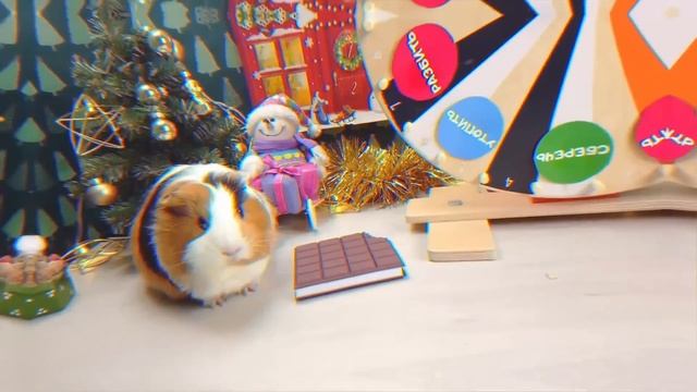 Экстремальный СОХРАНИ, РАЗБЕЙ или УТОПИ ЧЕЛЛЕНДЖ от МОРСКИХ СВИНОК Бузи и Кузи смотреть онлайн