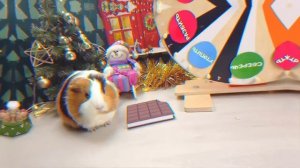 Экстремальный СОХРАНИ, РАЗБЕЙ или УТОПИ ЧЕЛЛЕНДЖ от МОРСКИХ СВИНОК Бузи и Кузи