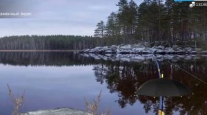 My Fishing World - Нерка, Сиг, Вырезуб  секреты где и как поймать | Часть - 20