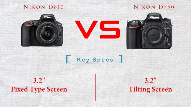 Nikon D810 Vs Nikon D750: Which Full Frame Should You Buy?  Nikon 750 Or Nikon D810