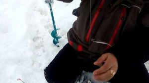 Как сделать поставушки для ловли судака!