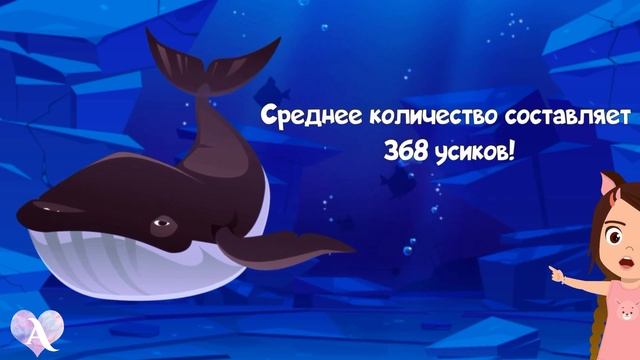 Зачем животным УСЫ? | Интересное о неизвестном | Почемучки. Алиса расскажет смотреть онлайн