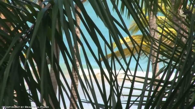 The Best Of Beautiful Piano Music ~ Soft Piano Relaxing Music For Studying, Relaxation Or Sleeping