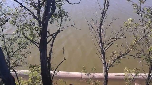 Миусский лиман (ростовская область)