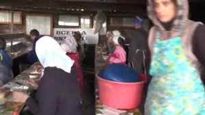 К нам в детский лагерь-стан приехали.