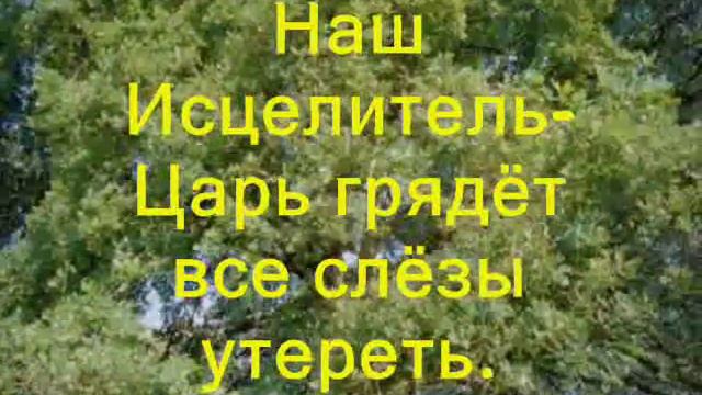 288. Наш Царь грядёт.wmv смотреть онлайн