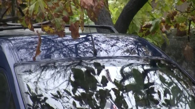 Осенний колорит. Севастополь смотреть онлайн