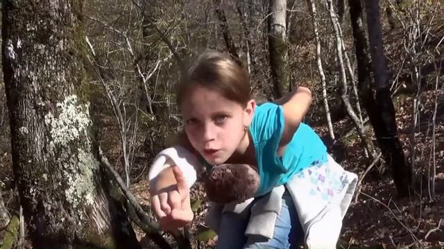 Как выжить в лесу зимой, летом, девочке, наука для человека! Видео фильм смотреть онлайн, скачать смотреть онлайн