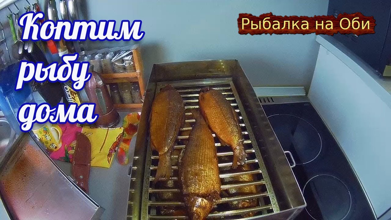 Рыбалка REGION86