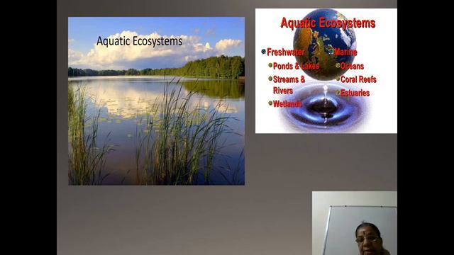 VIII CBSE Bio video 21 Chapter 7 Conservation OfPlants and Animals Part 1 смотреть онлайн