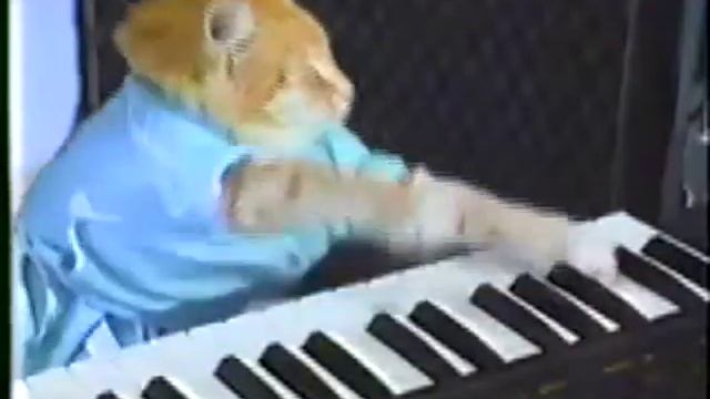 Play him off, Keyboard Cat - NOS Energy Drink + GIXXER Motorcycle смотреть онлайн