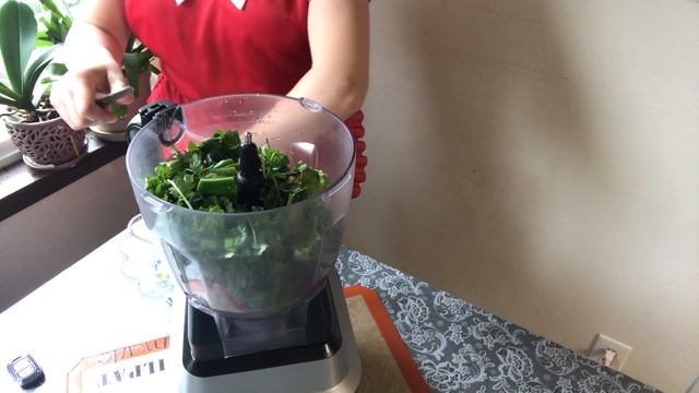 Creamy Avocado Cilantro Salsa // соус закуска из авокадо на греческом йогурте...ешь и хочется !