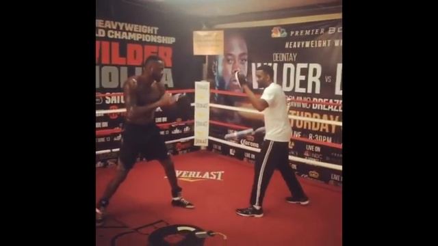 ПРОГНОЗ НА БОЙ ДЕОНТЕЙ УАЙЛДЕР - ТАЙСОН ФЬЮРИ смотреть онлайн