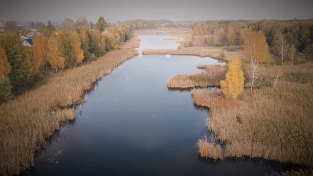 Невосполнимая потеря и безмерная скорбь… смотреть онлайн