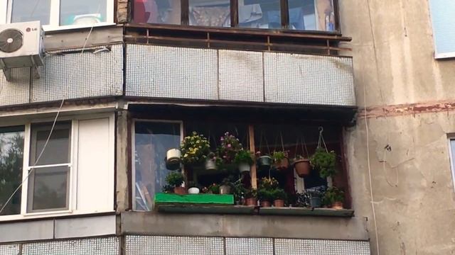 Цветущий зелёный балкон / Красота вокруг нас / Зелёный уголок смотреть онлайн