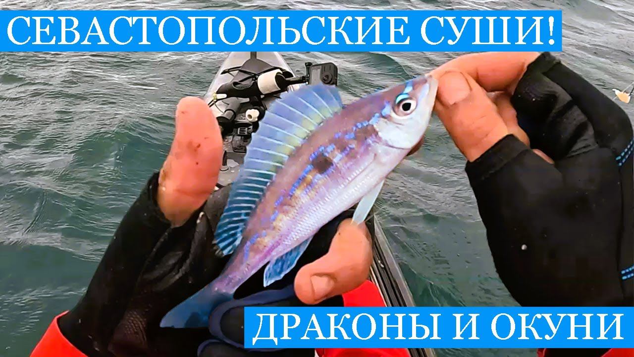 Весенняя Рыбалка в СЕВАСТОПОЛЕ!) - Полный каяк рыбы, суши из улова и такая переменчивая погода!! смотреть онлайн