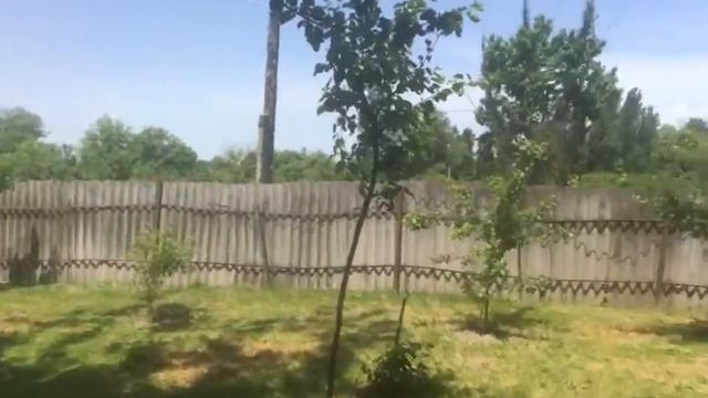 Деревня. Ранее утро, петухи надоели смотреть онлайн