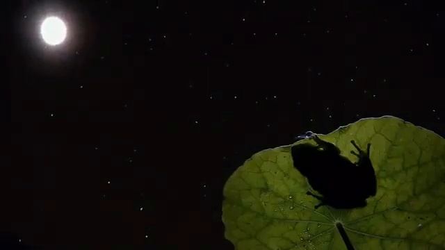 Молитва согласия об Экклесии. смотреть онлайн