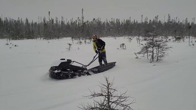 Tinger dog test ride2 смотреть онлайн