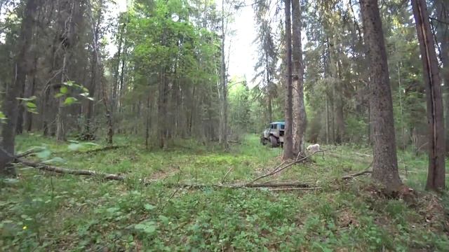 "ДРАКОН" РВЁТ БОЛОТО! Летний металлокоп в тайге. Интуиция не подвела. смотреть онлайн