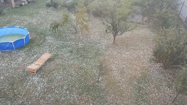 Град - размером с абрикос! Июль. Дрозды.Беларусь смотреть онлайн