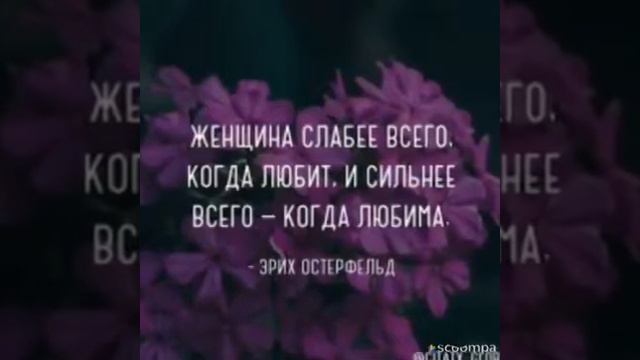 Ответчик вопросов и помощник к успеху