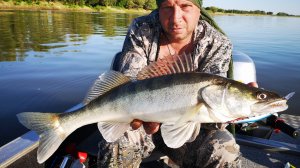 ЛОВЛЯ СУДАКА В МОШКУ - Два вида ловли судака - ДЖИГ и ТРОЛЛИНГ. Рыбалка в Астраханской области