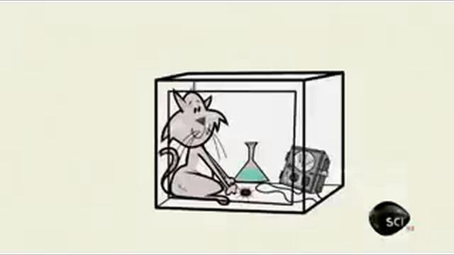 Quantum physics and consciousness смотреть онлайн