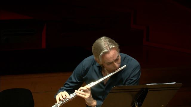 G. Ph. Telemann : Fantasia no7 in D for flute by Berten D'Hollander смотреть онлайн