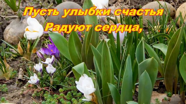 Поздравление с 8 Марта! Для Зрительниц моего канала! смотреть онлайн