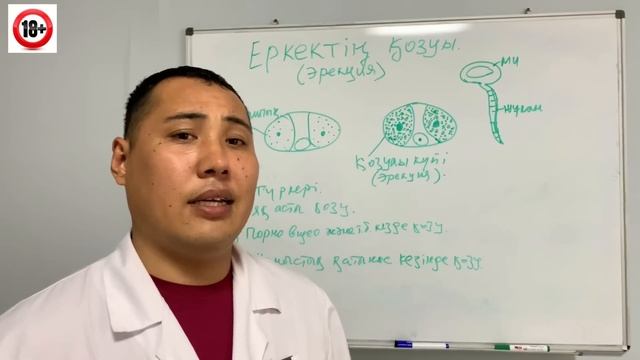 Еркек неден қатты қозады? (Пор*о, Әйел, Түс) Еркектің қозуы - эрекция. Жыныстық қатынас. смотреть онлайн