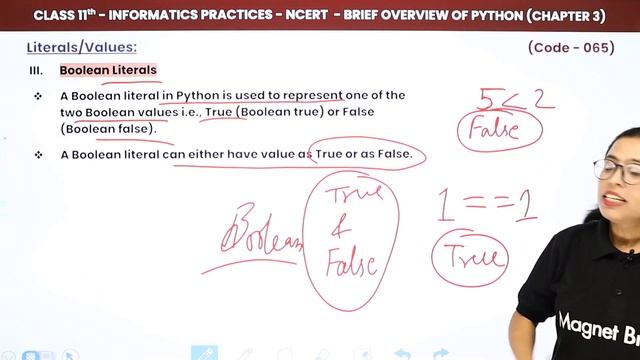 Literals - Brief Overview of Python | Class 11 Informatics Practices Chapter 3 (Code 065) смотреть онлайн