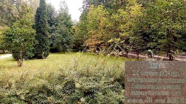 Парк Сокольники - обзор, прогулка смотреть онлайн