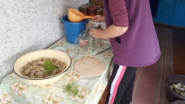 Солю грузди,опята/Домашние дела/