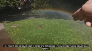 Плоская Земля. Радуга подтверждает существование купола.
