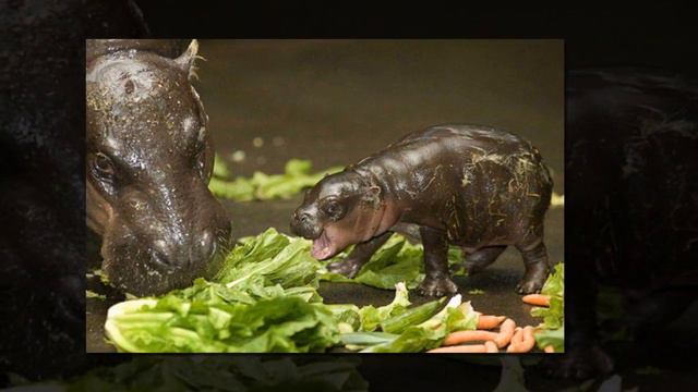 Дети, они такие разные:) смотреть онлайн