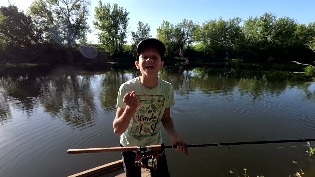 Надубасил кучу плотвы на пшеницу. смотреть онлайн