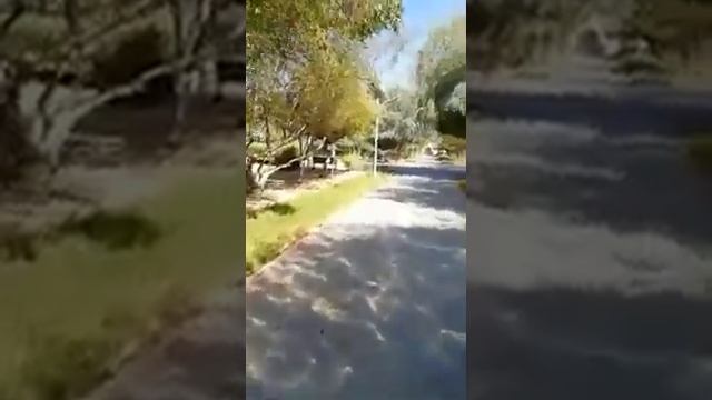 public agent new video, girl do everything for money смотреть онлайн