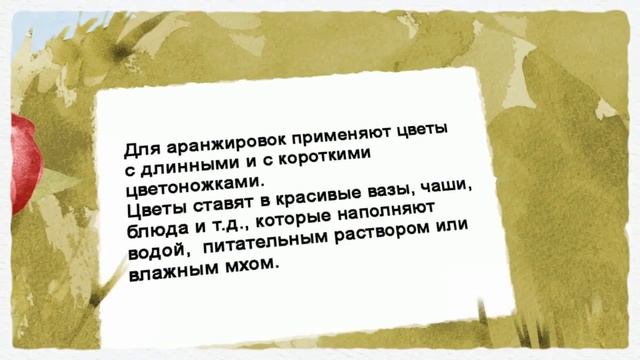 Как пересаживать растения. Пара полезных советов смотреть онлайн