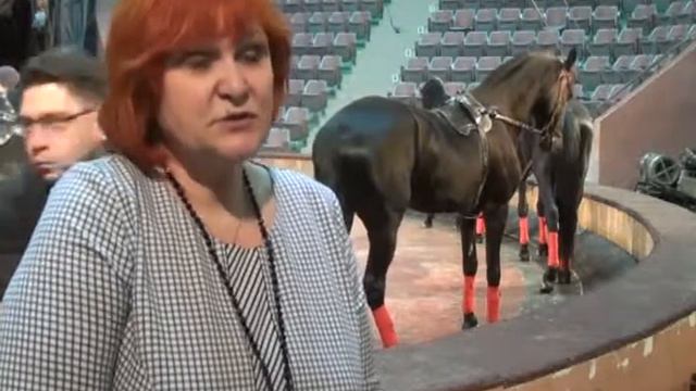 В Курском цирке прошла открытая репетиция смотреть онлайн