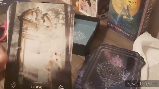Divine Animals Oracle| Unboxing, First Impressions & Flip Through смотреть онлайн