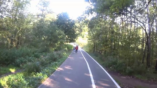 24 августа 2019 parkrun «Измайлово» Забег # 269 смотреть онлайн