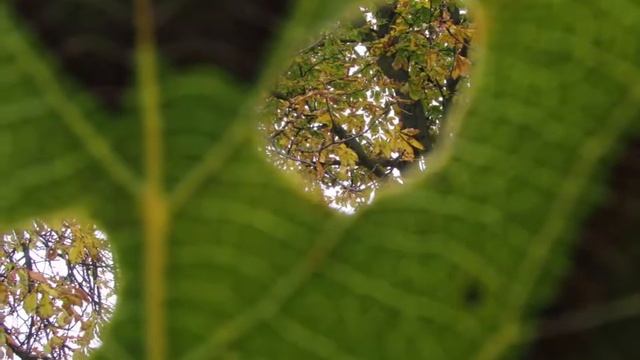 Осенний Ростов